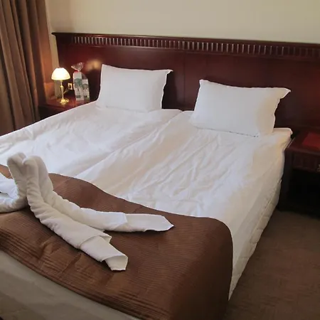 Downtown Alexander Services Μπάνσκο