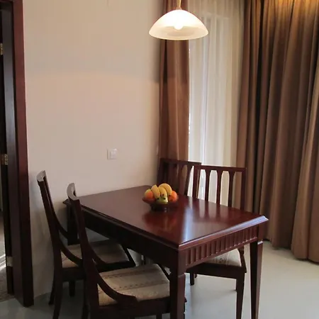 Downtown Alexander Services Μπάνσκο