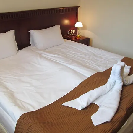 Apartament Downtown Alexander Services