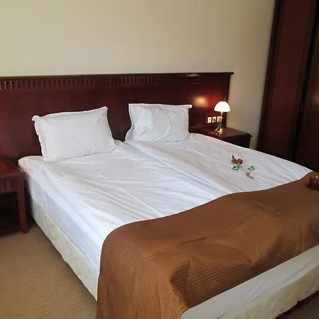 Downtown Alexander Services Apartman *