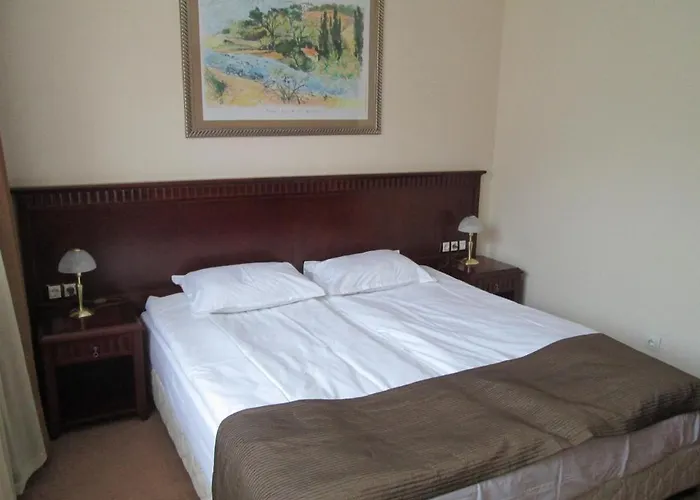 Downtown Alexander Services Apartmán Bansko