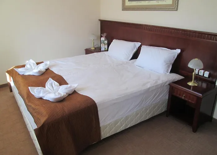 Daire Downtown Alexander Services Bansko