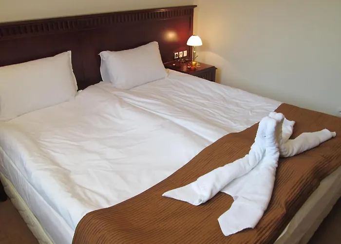 Daire Downtown Alexander Services