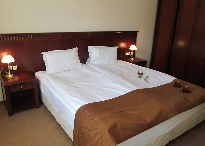 Downtown Alexander Services Apartmán *